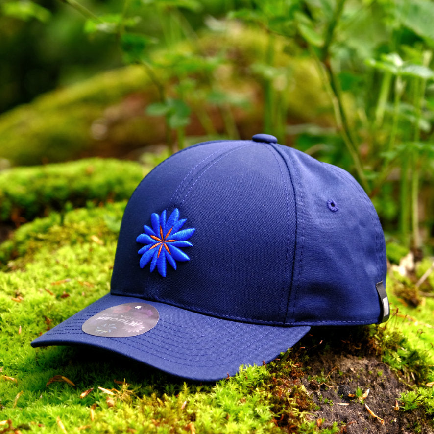 Casquette bleue à base de fleur de lys français 